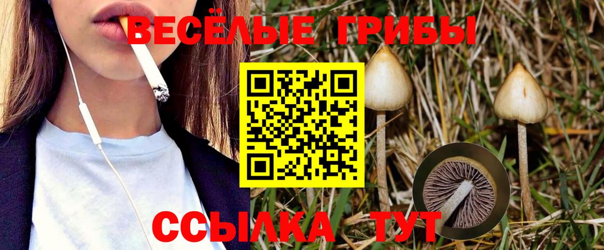Лениногорск  Галлюциногенные грибы MAGIC MUSHROOMS  Вход с VPN  Псилоцибиновые грибы мицелий 